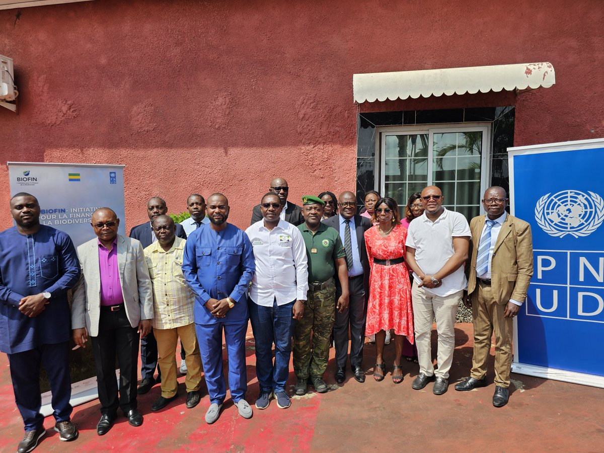 PNUD GABON tweet media