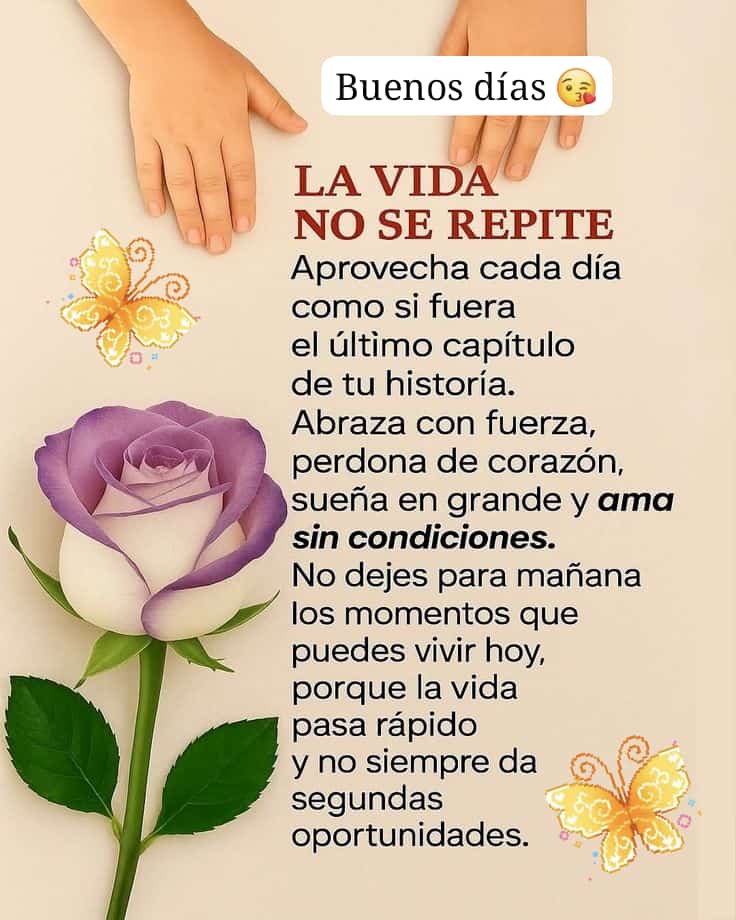 .
❇️🌿Feliz Viernes 🌿❇️
💚Personitas Bonitas💚

¡Q tú despertar esté lleno
d luz!
Recib esa energía con gratitud. No hay nada
como empezar la jornada reconociendo esas nuevas oportunidades y la fuerza
q nos mantiene en pie.

Dios los cuide 🙏🏻🤗😘
Los leo x la tarde ☕🌹🎵