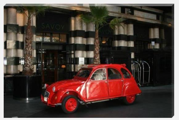 Travel Modernism tweet media