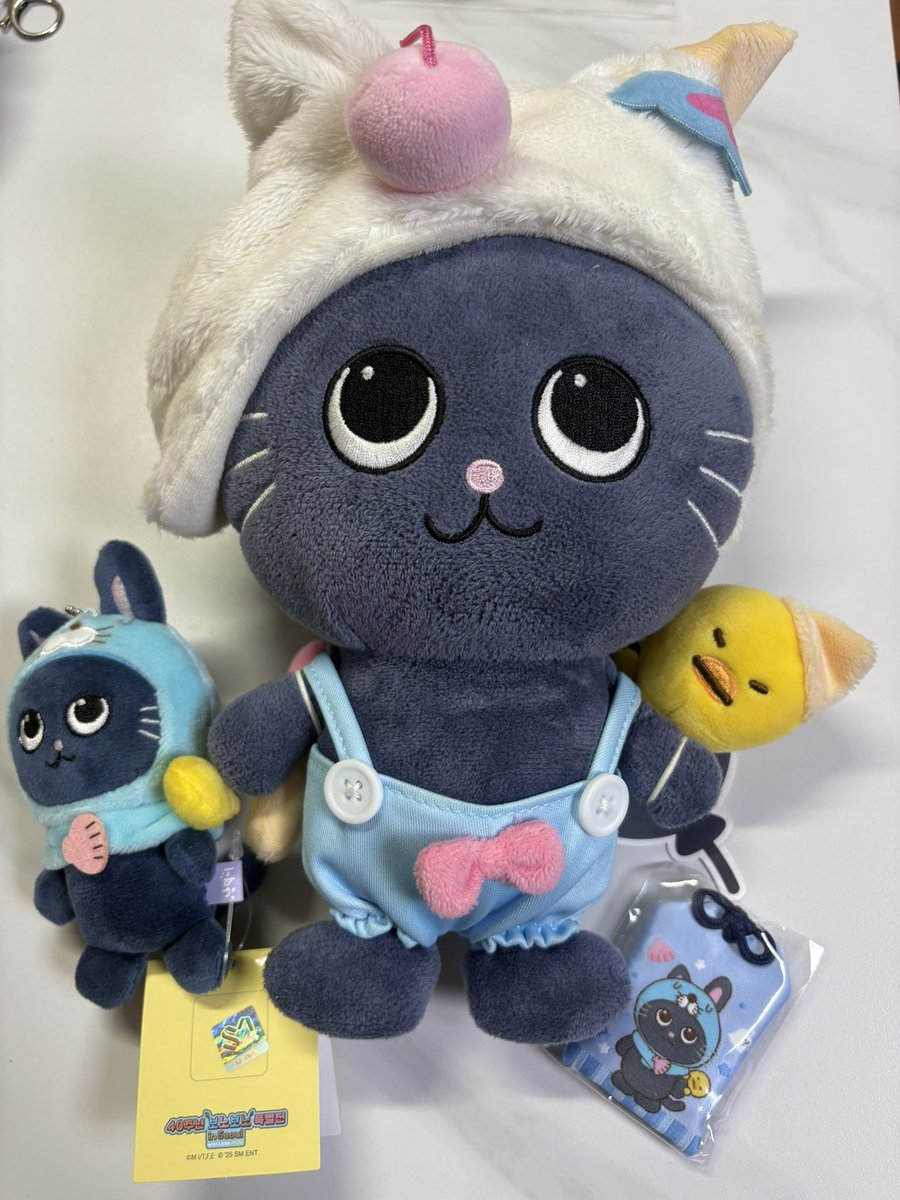 헬로삔 tweet media