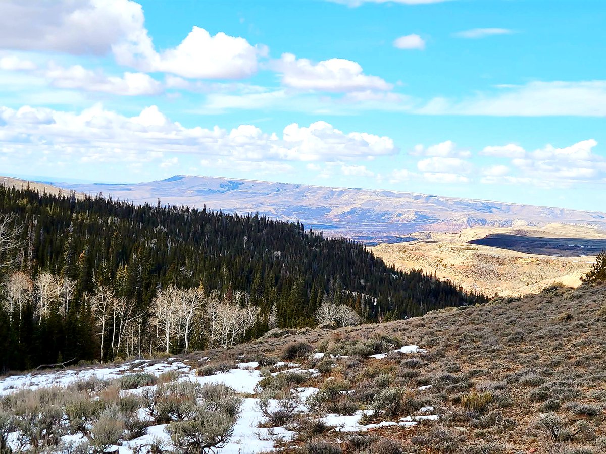 russcar10now's tweet photo. Good morning from Wyoming https://t.co/jw6nlyDvrK