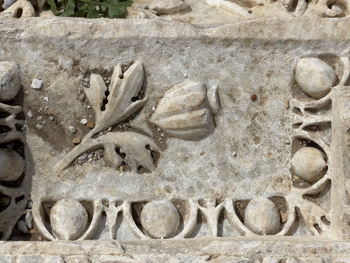 Celal Şimşek tweet media