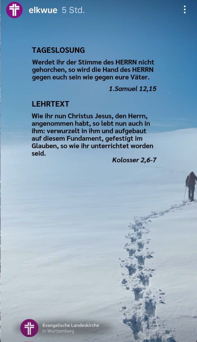 Claudia Raißle (@rai_claudia) on Twitter photo 