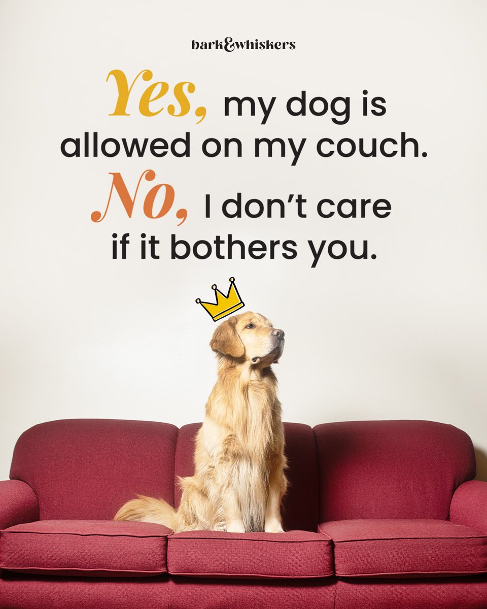 bark&whiskers tweet media