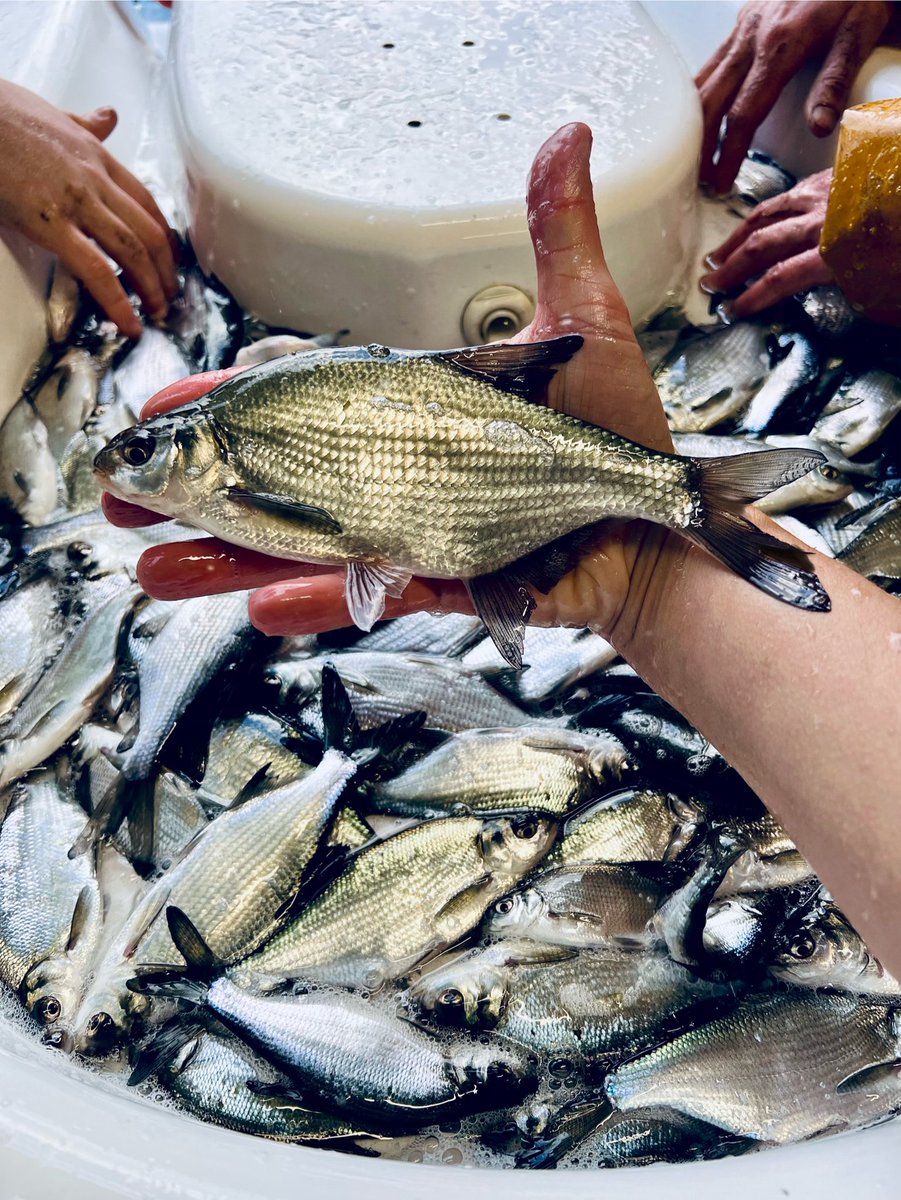 Environment Agency Midlands tweet media