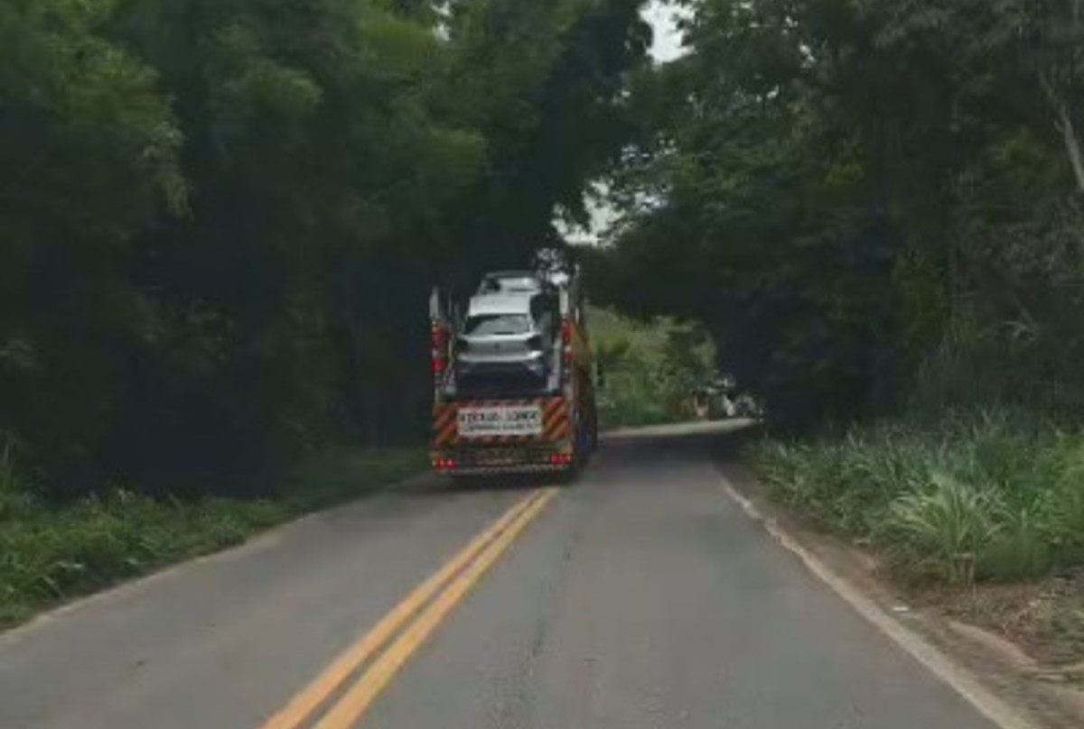 VÍDEO: Cegonheira é flagrada na contramão para desviar de galhos de árvore na MG-133 >> glo.bo/wcknofu