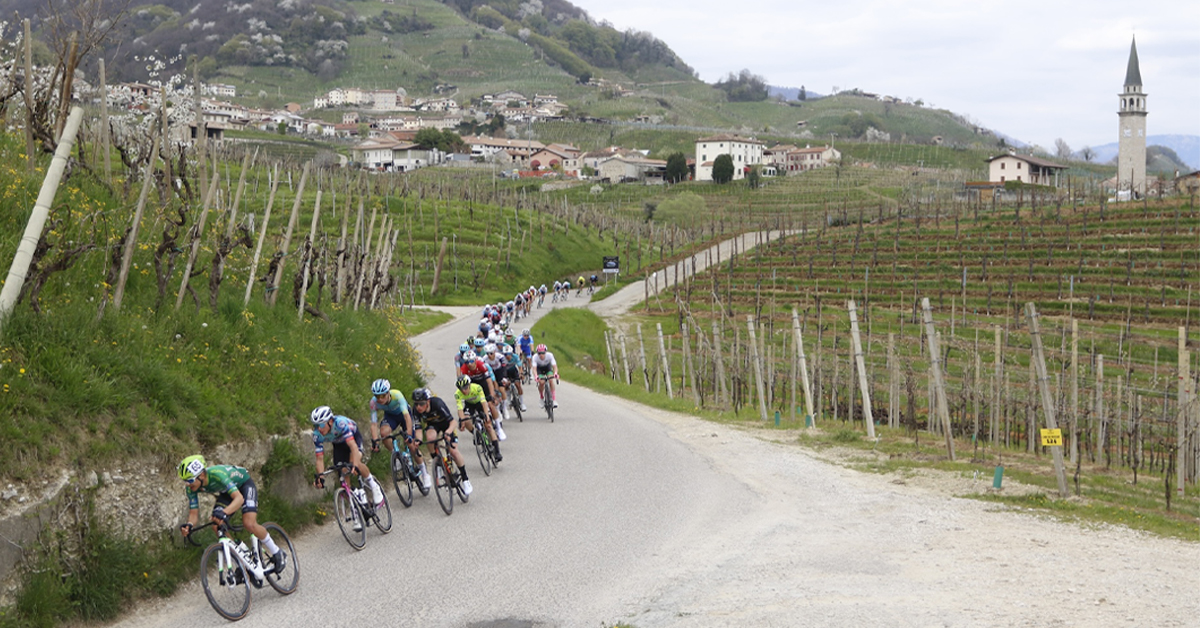 biciPRO1's tweet image. Anche gli under 23 attaccano il numero alla schiena, si parte da Lombardia e Toscana. Con Amadori parliamo di obiettivi e del lavoro delle continental

@Federciclismo @MarinoAmadori 

#BiciPro #Under23 #Continental 

bici.pro/news/giovani/i…