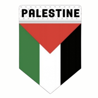 O presidente da FIFA, Gianni Infantino, planeja visitar a Palestina no próximo mês para acompanhar a primeira partida realizada no país em 6 anos e meio. A Federação Palestina negocia adversários, e o Bahrein surge como opção mais provável.
