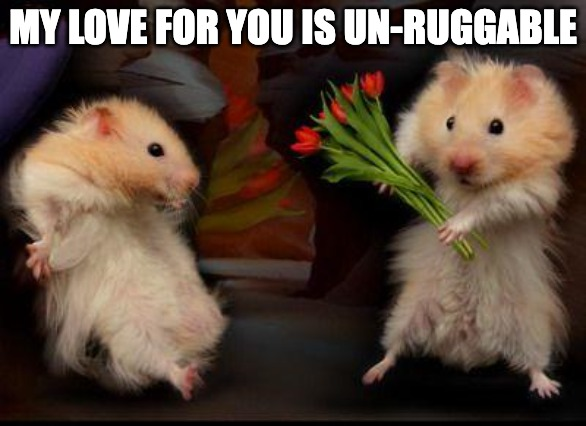 rugtelegraph's tweet photo. unlike your last three investments 💔 https://t.co/1u2PLD84Cf
