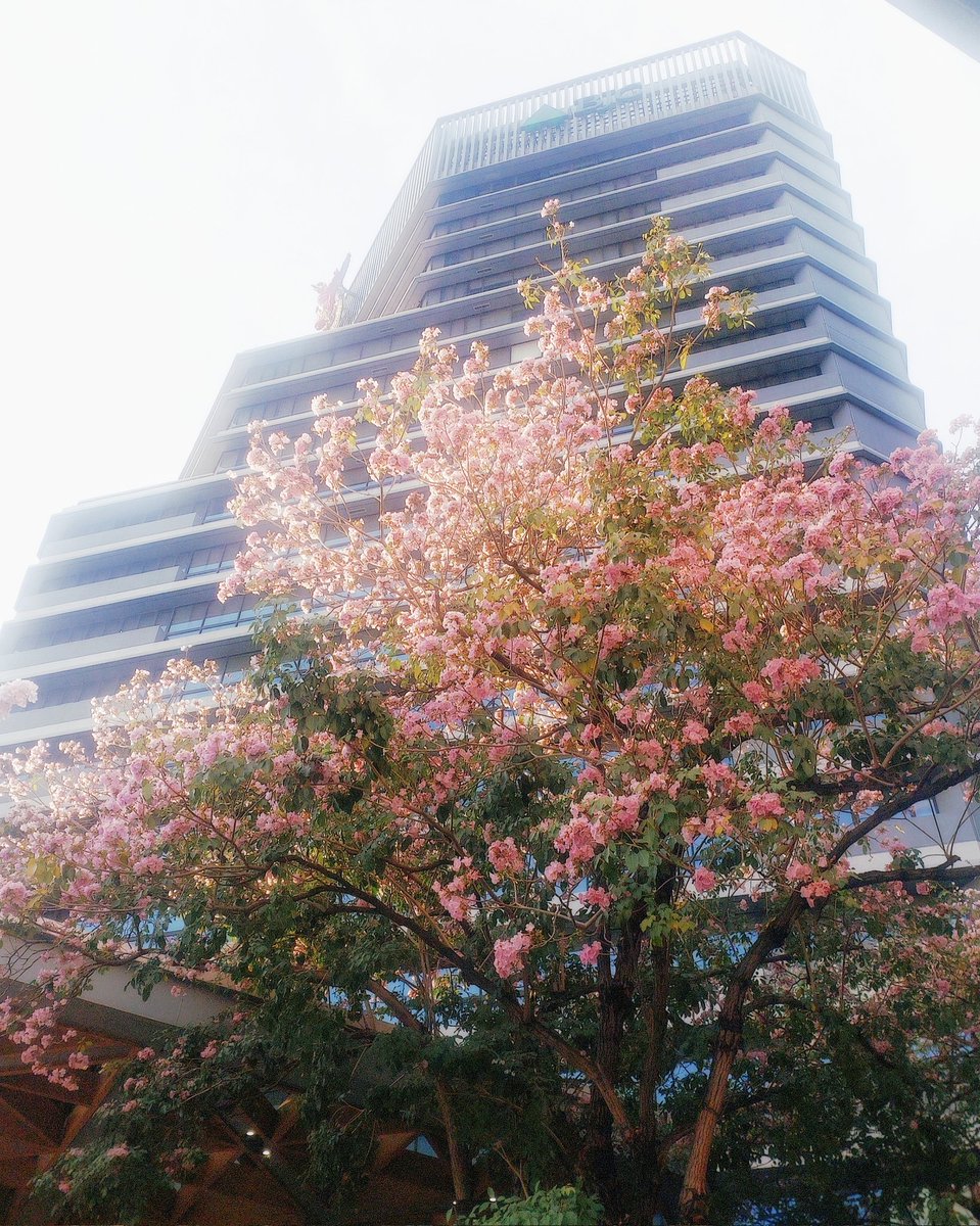 ส่งหน้าบริษัทเข้าประกวดด สวยมาก 😍