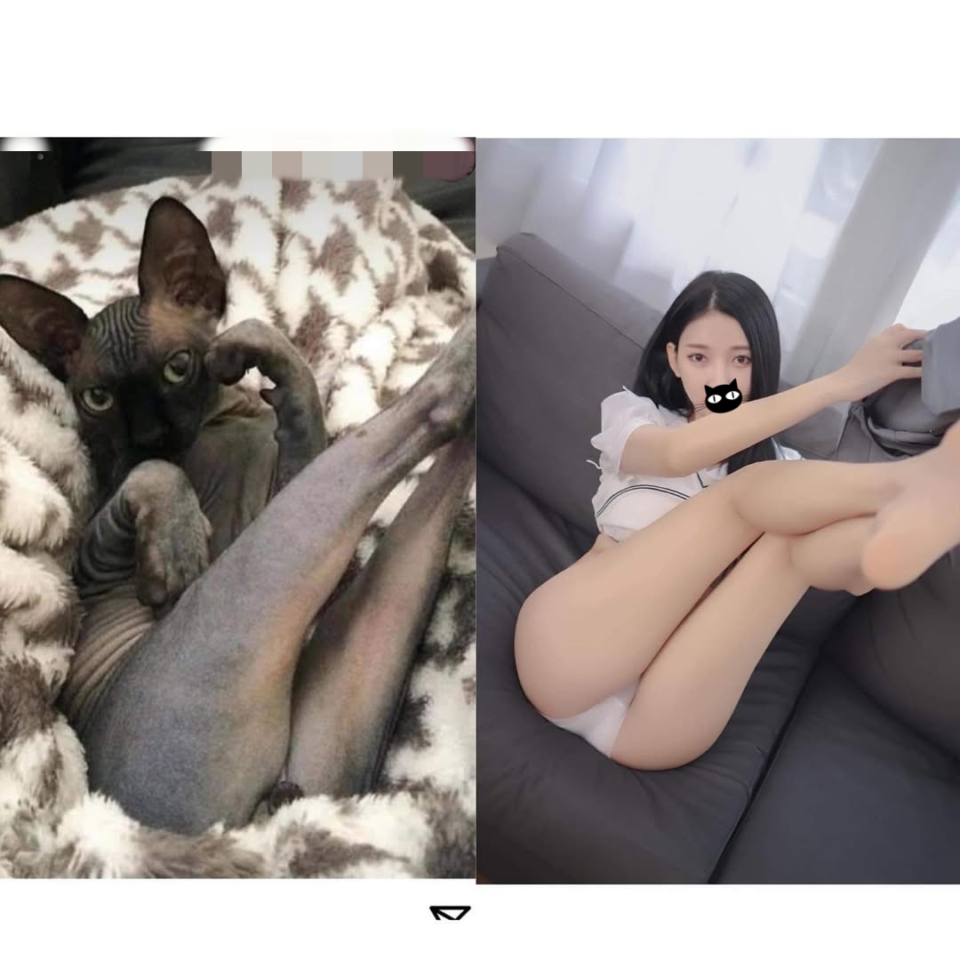 𝓺𝓲𝓷𝓰𝓽𝓲𝓪𝓷🏵️晴天 tweet media