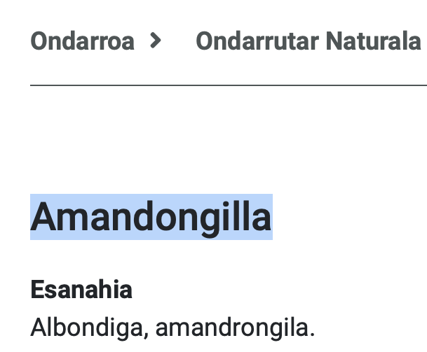 𝗔𝗠𝗔𝗡𝗗𝗢𝗡𝗚𝗜𝗟𝗔:
Haragi-bola, haragi xehetuz egina, arrautza eta hainbat osagarri gehituta. Albondiga.