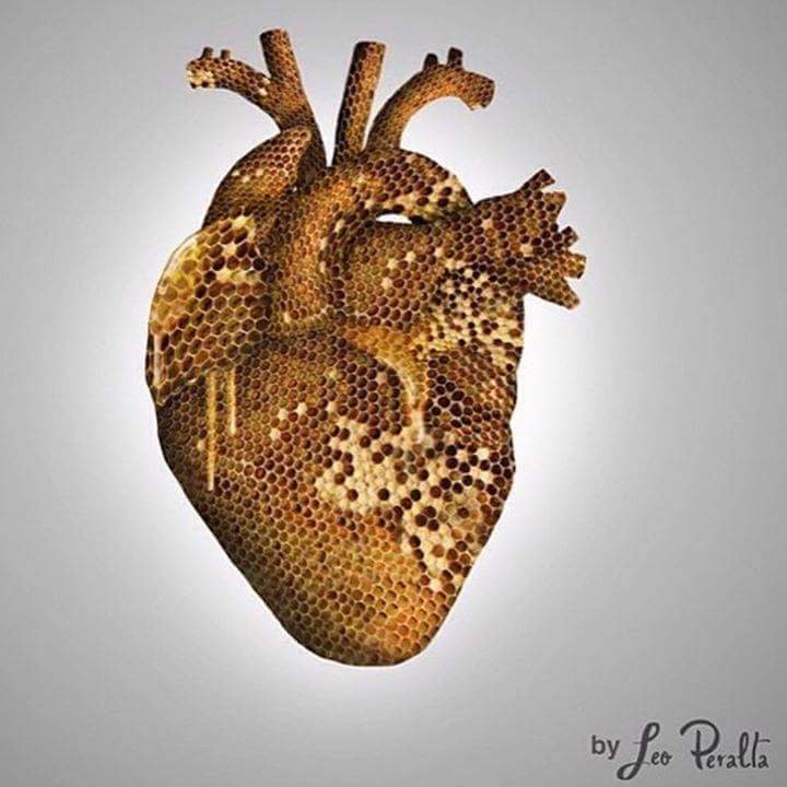 WitneyBees 💙's Bees tweet media