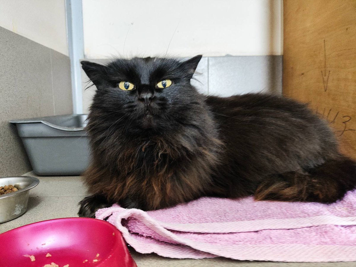 У неї лишилось 2 дні до вулиці