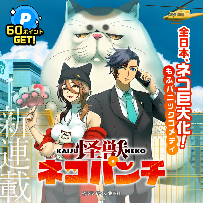 ネコパンチ13冊 猫パンチ | 板東 寛司 |本 | 通販 | Amazon