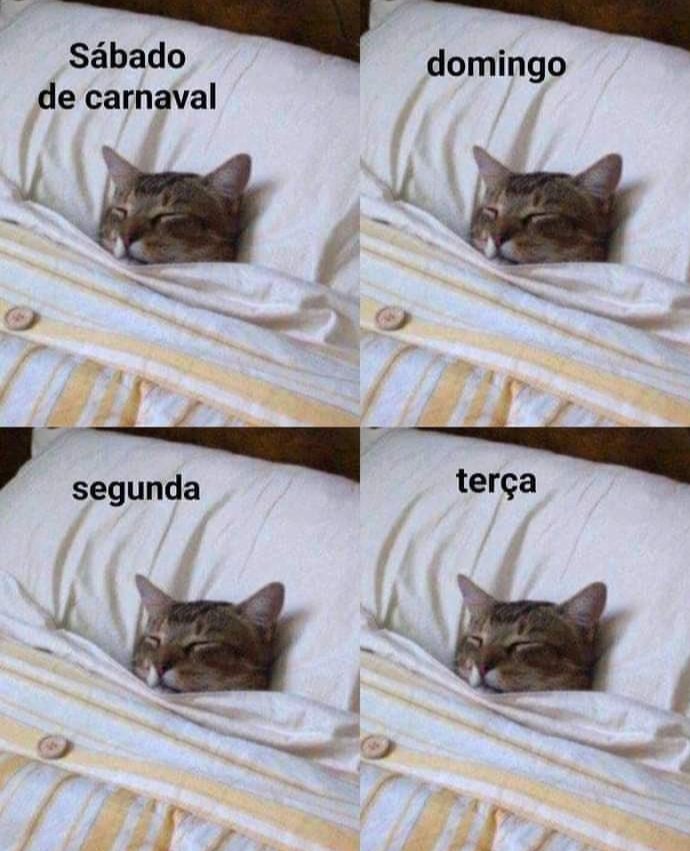 "Tem planos para o carnaval??"

Meus planos: