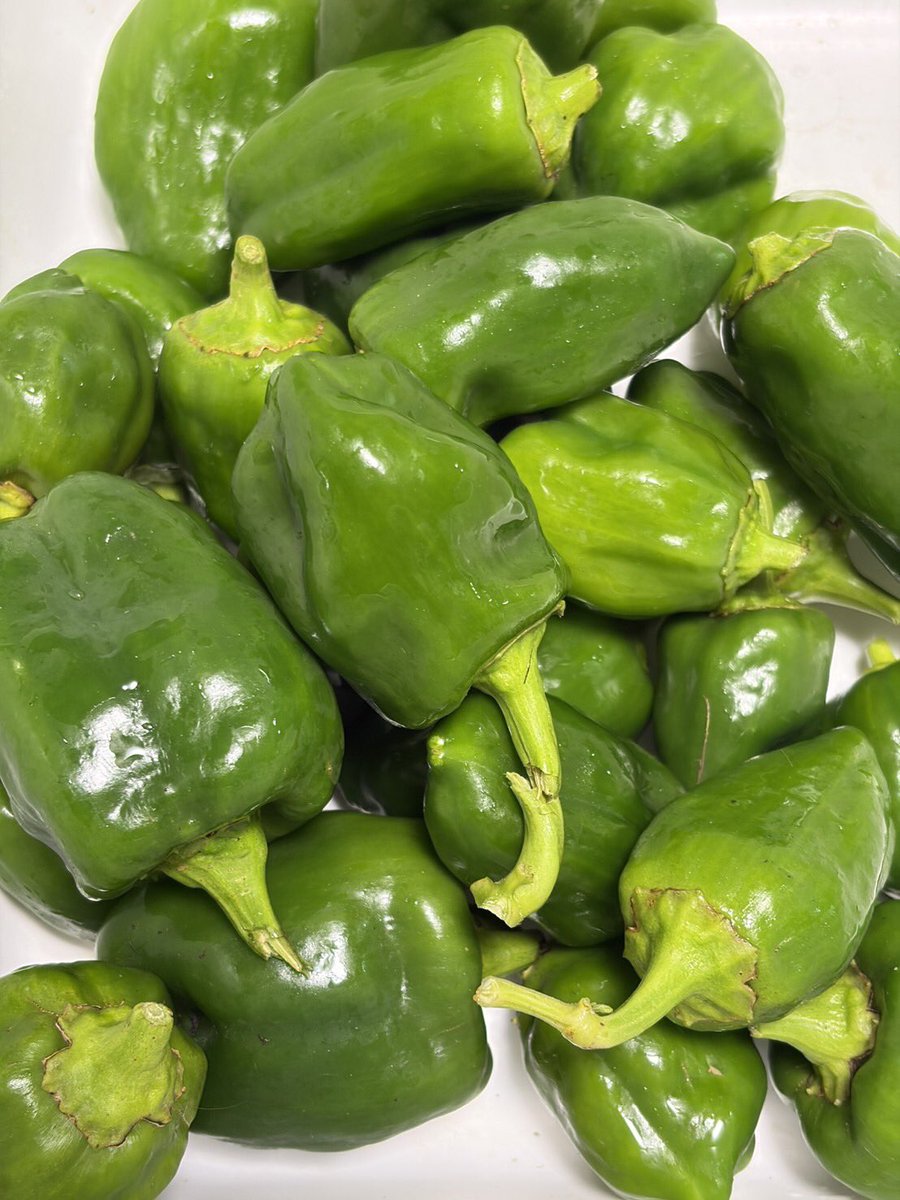 みなさまこんばんは🌆 今日もお疲れ様でした😊 素敵な週末をお過ごし