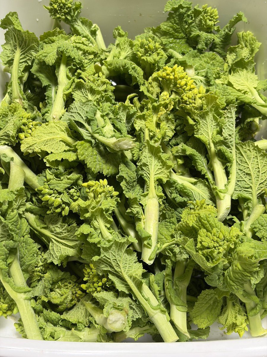 みなさまこんばんは🌆 今日もお疲れ様でした😊 素敵な週末をお過ごし