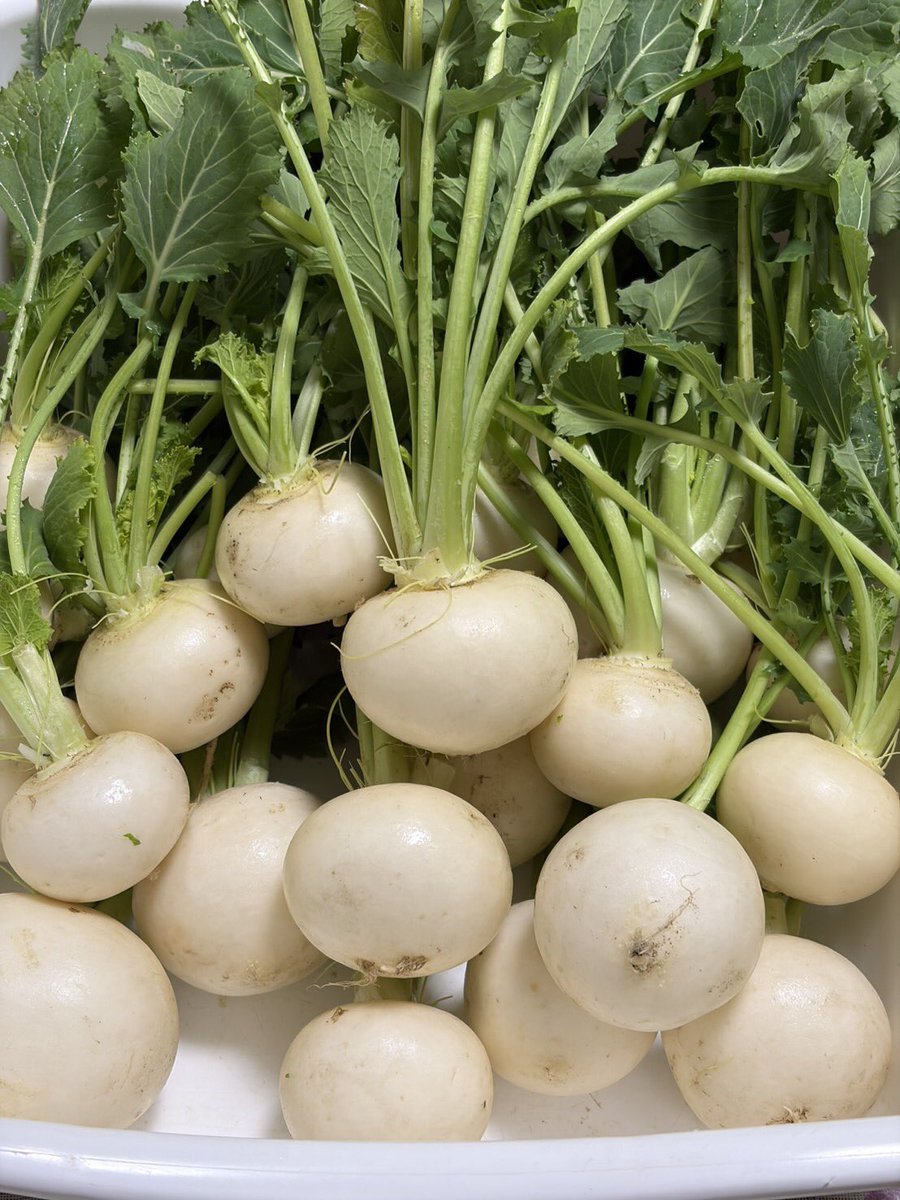 みなさまこんばんは🌆 今日もお疲れ様でした😊 素敵な週末をお過ごし