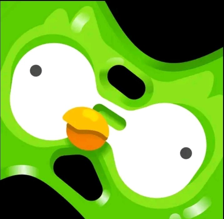 How many of you are actually out here using <a href="/duolingo/">Duolingo</a> every day? 🦉