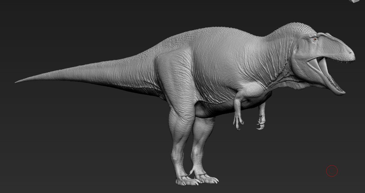 Nikolai Z. tweet media