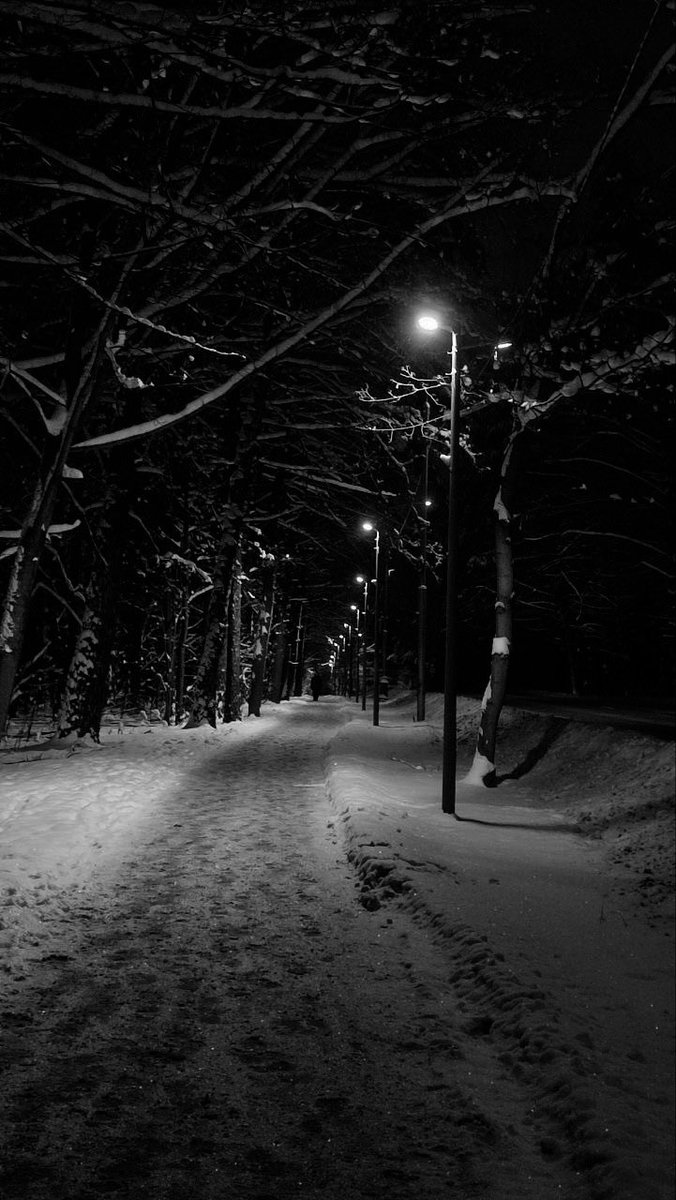 ⌞Kyo⌝ / nsfr tweet media