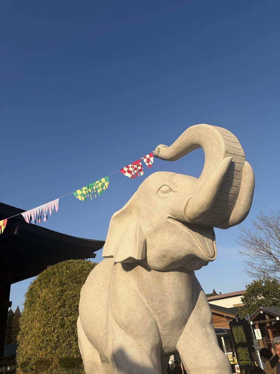 長福寿寺・金運アップの吉ゾウくん【公式】 (@chofukujuji_PR) / Posts / X