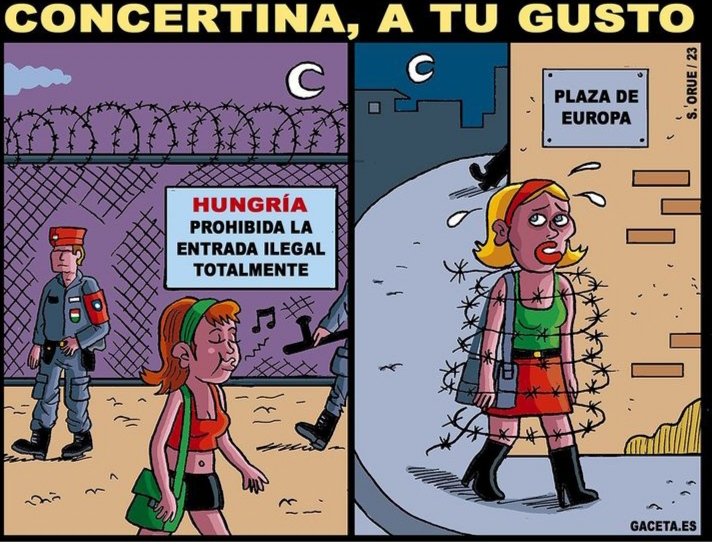 tintin_nn tweet media