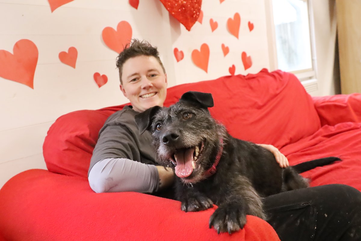 Dogs Trust Leeds tweet media