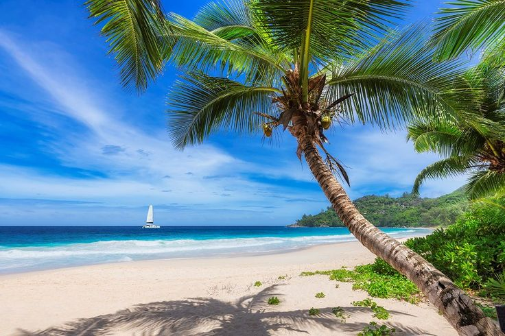 AirwingsMaria's tweet photo. If this view doesn’t make you want to pack a bag, I don’t know what will.

#TravelMood #ScenicWorld #BucketListTrips #ExploreTheWorld https://t.co/QUnFZHDtlc