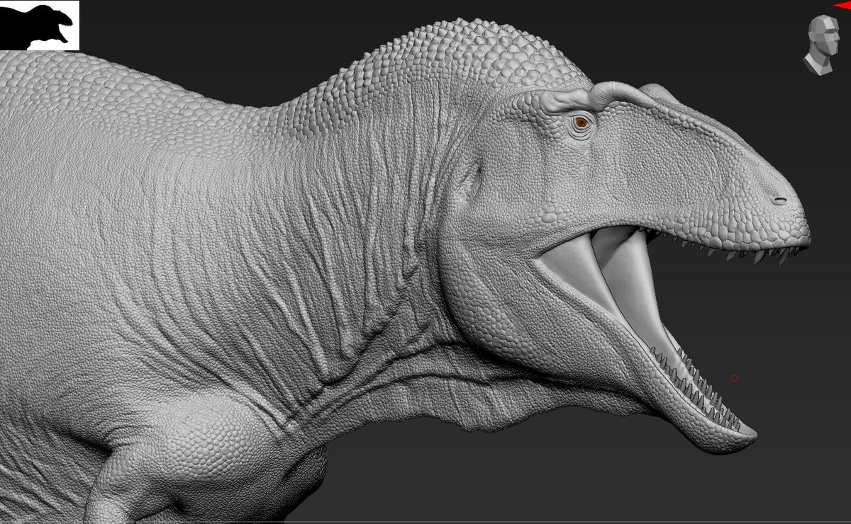 Nikolai Z. tweet media