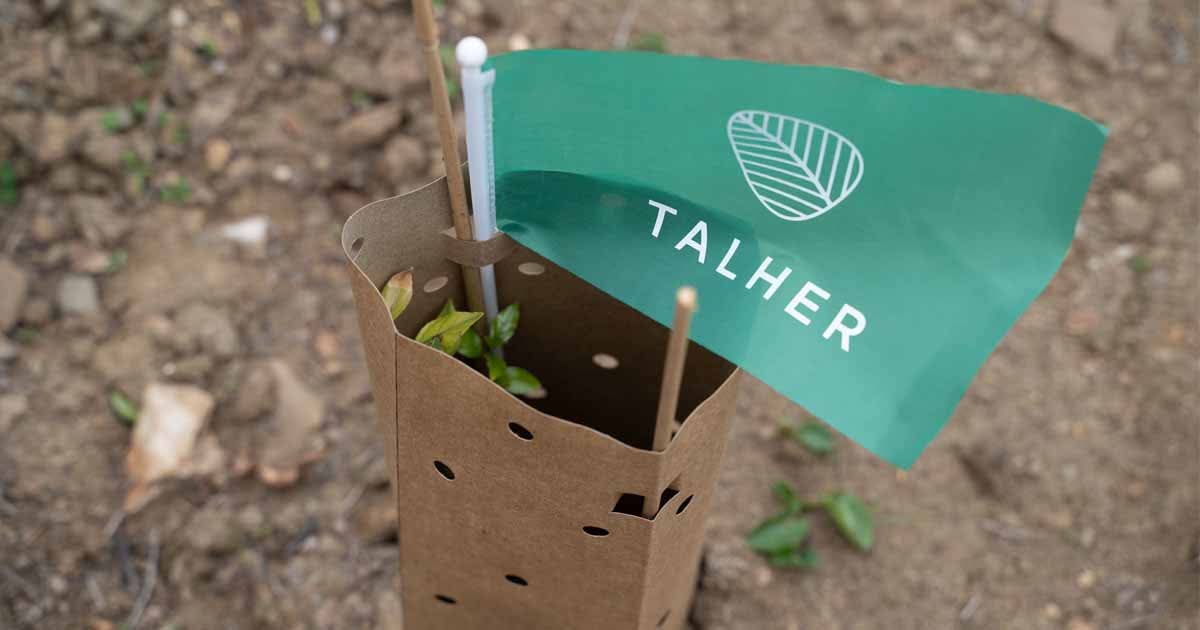 Talher_'s tweet photo. Sembrar árboles no es suficiente. 🌱
Los primeros meses son críticos: riego adecuado, control de plagas, poda de formación y protección del tronco determinan si el árbol se desarrollará correctamente o no sobrevivirá. 💚
#Árboles #Jardinería #Talher https://t.co/XKO2M1NM7U