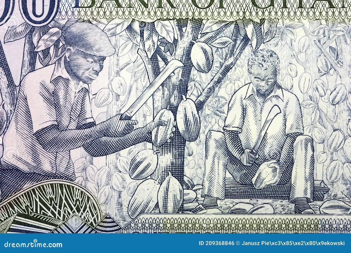 The cocoa imagery on the Cedi is there for a reason.