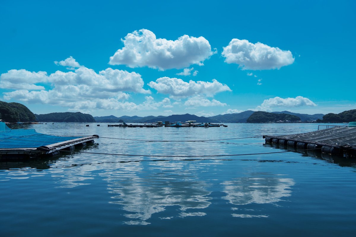 🌊三重・南伊勢町／真鯛養殖【大下水産】
未経験OK・性別不問。毎朝7時出船、16時前後終了。給餌や生簀管理などコツコツ積み重ねる仕事です。船舶免許取得補助あり。派手さより継続力を大切にできる方へ。
👉 job.fishermanjapan.com/job/8508/

#真鯛養殖 #南伊勢 #漁師募集 #TRITONPROJECT