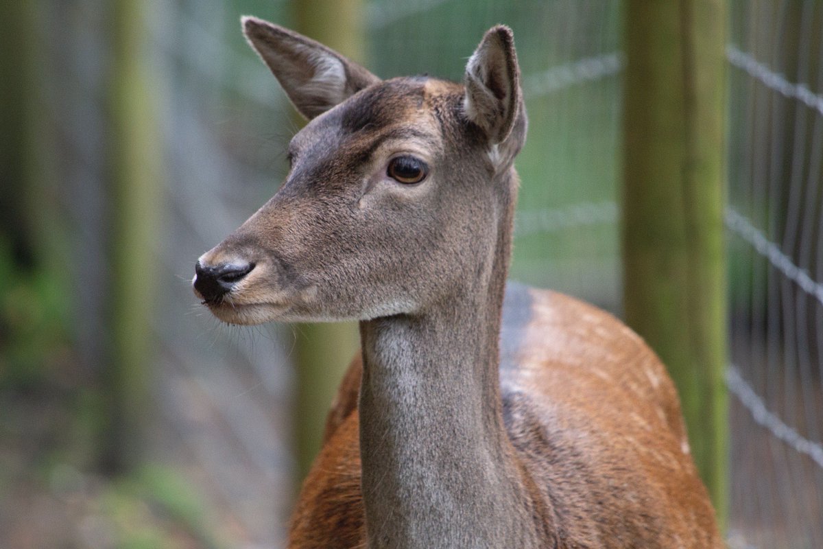 HantsTopDaysOut tweet media