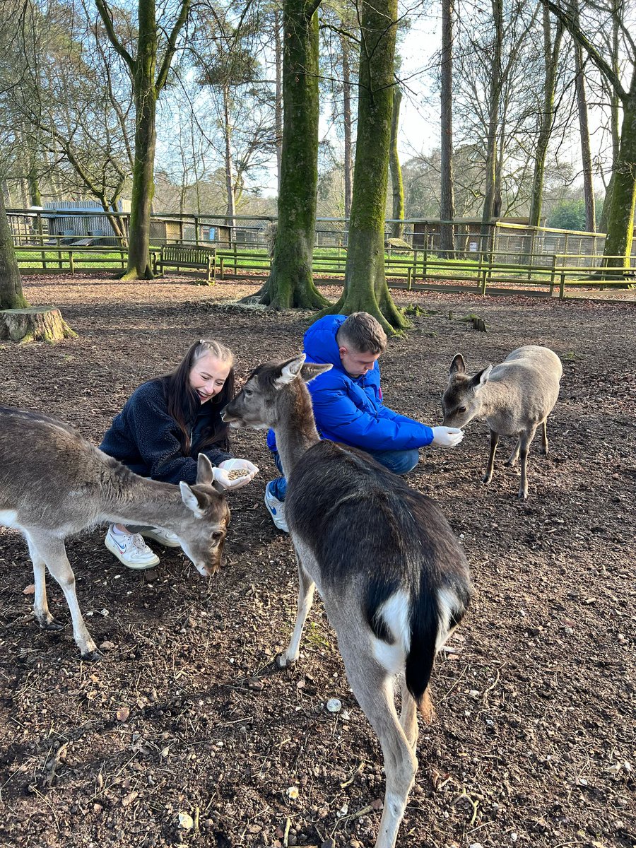 HantsTopDaysOut tweet media