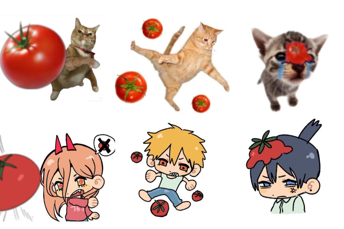 dolphin cat (@dolphincatt) on Twitter photo 