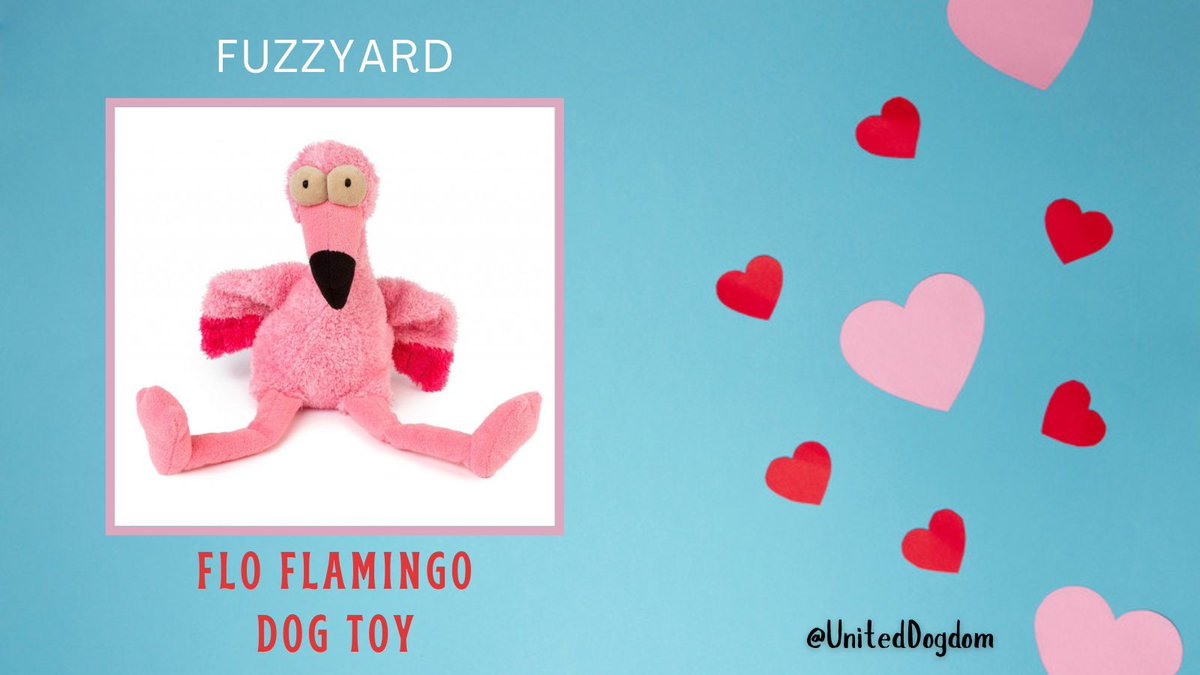 #ValentinesDay is near, and Flo is a pretty cool chick. Make sure your #dog treats her gently—she's quite the sweetheart! 🩷buff.ly/wtrHhfx 
.
#dogtoys #weeklyfluff #bestwoof #dogsoftwitter <a href="/dotty4paws/">Dotty4Paws</a> #doglovers @goodvetandpetguide #dogsofgreatbritain @thegooddogguide