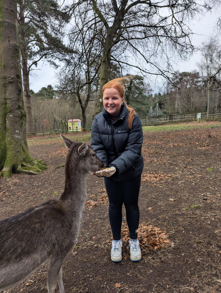 HantsTopDaysOut tweet media