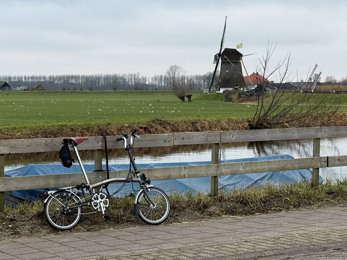 Dion Forster tweet media