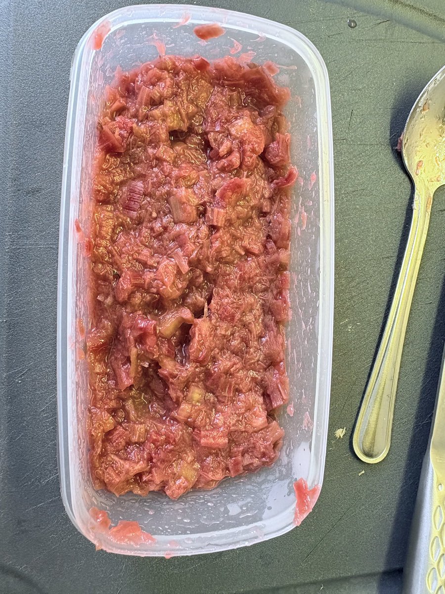 cava__suisse's tweet photo. ヨーロッパに移住して……
梅干し高くて買えない、作るにしても青梅なんてものも売ってない😇
そんな時にインスタで見つけたライフハックが

""ルバーブで梅ペーストもどきを作ること""

ルバーブ刻んで塩入れてジャムみたいに煮詰めるだけ。かつお節と混ぜてお��ぎりにしたら飛ぶ https://t.co/a6rwMItdoW