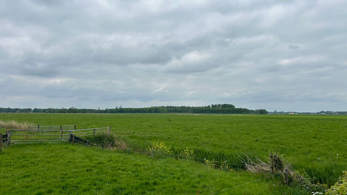 FNP Opsterlân tweet media