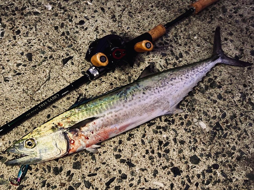 こばいぬ tweet media