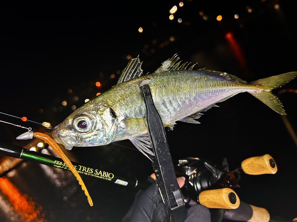 こばいぬ tweet media