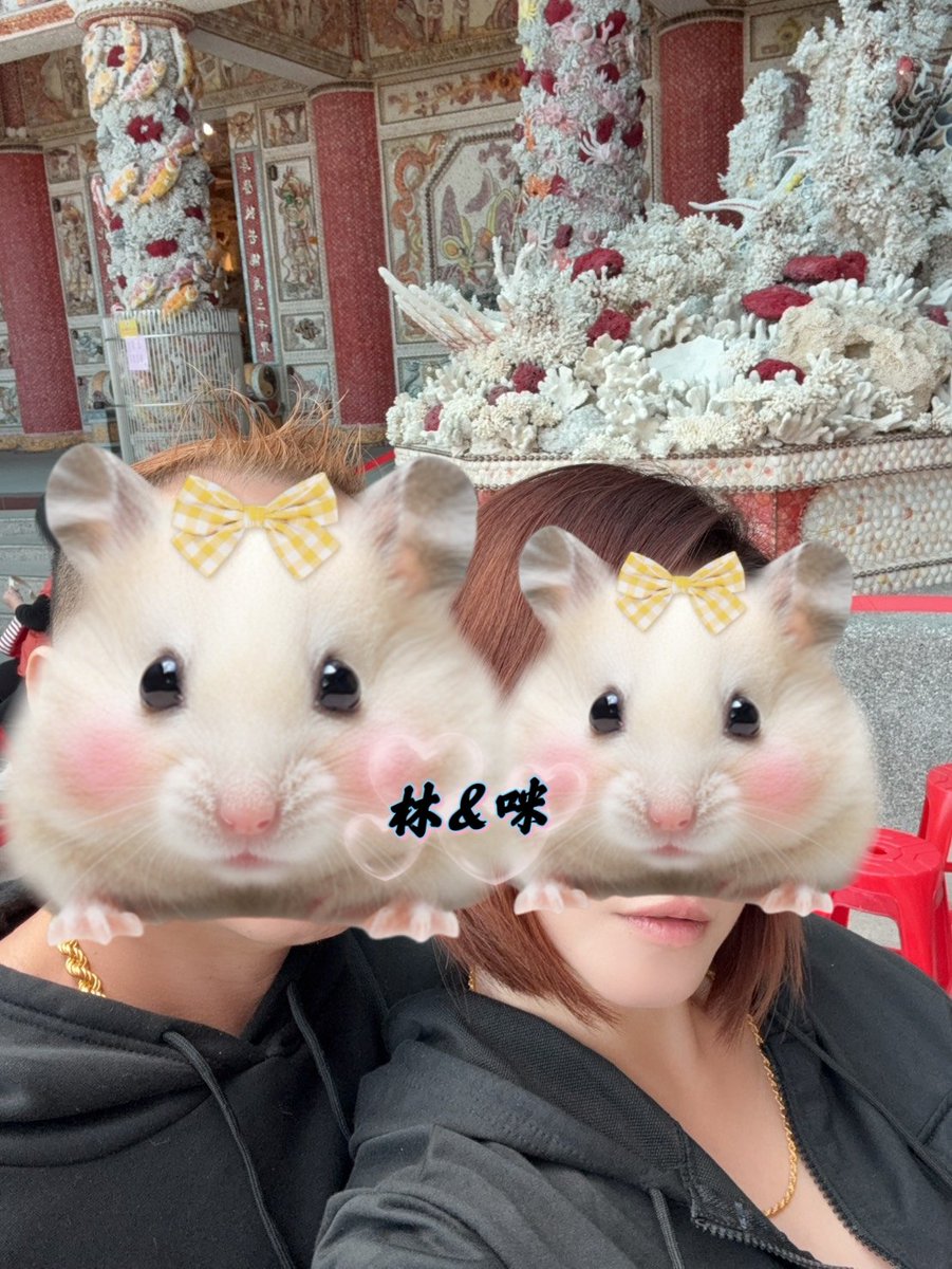 （新北）L&M tweet media