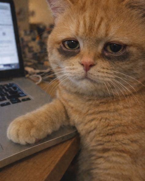 Twitterdan çıkamıyorum neden açtım ben bunu?((( Bagımlılık yaptı...Bügün hiç uyumadan kalktım...
#kismetseolur 
#belbar