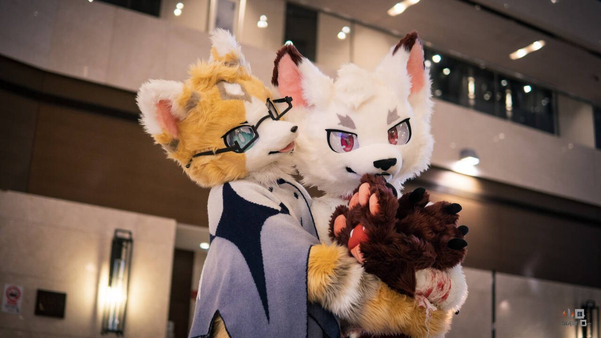 牛奶吖牛奶 tweet media