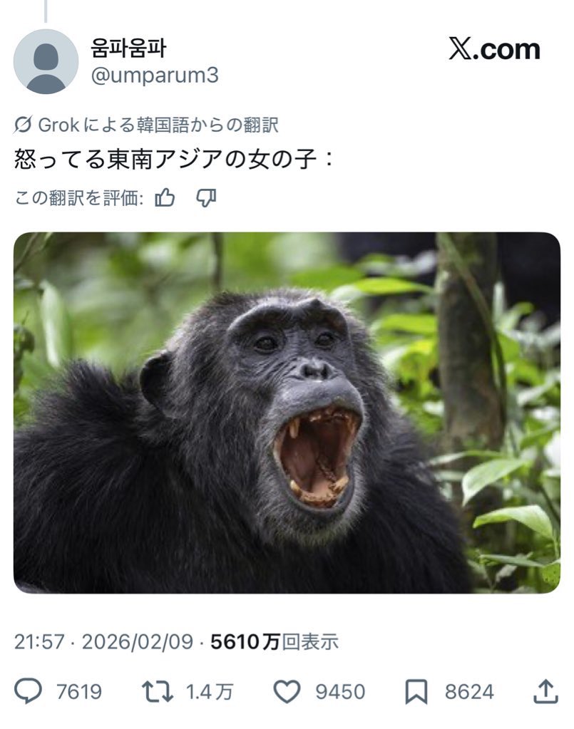 ひな🐣 tweet media