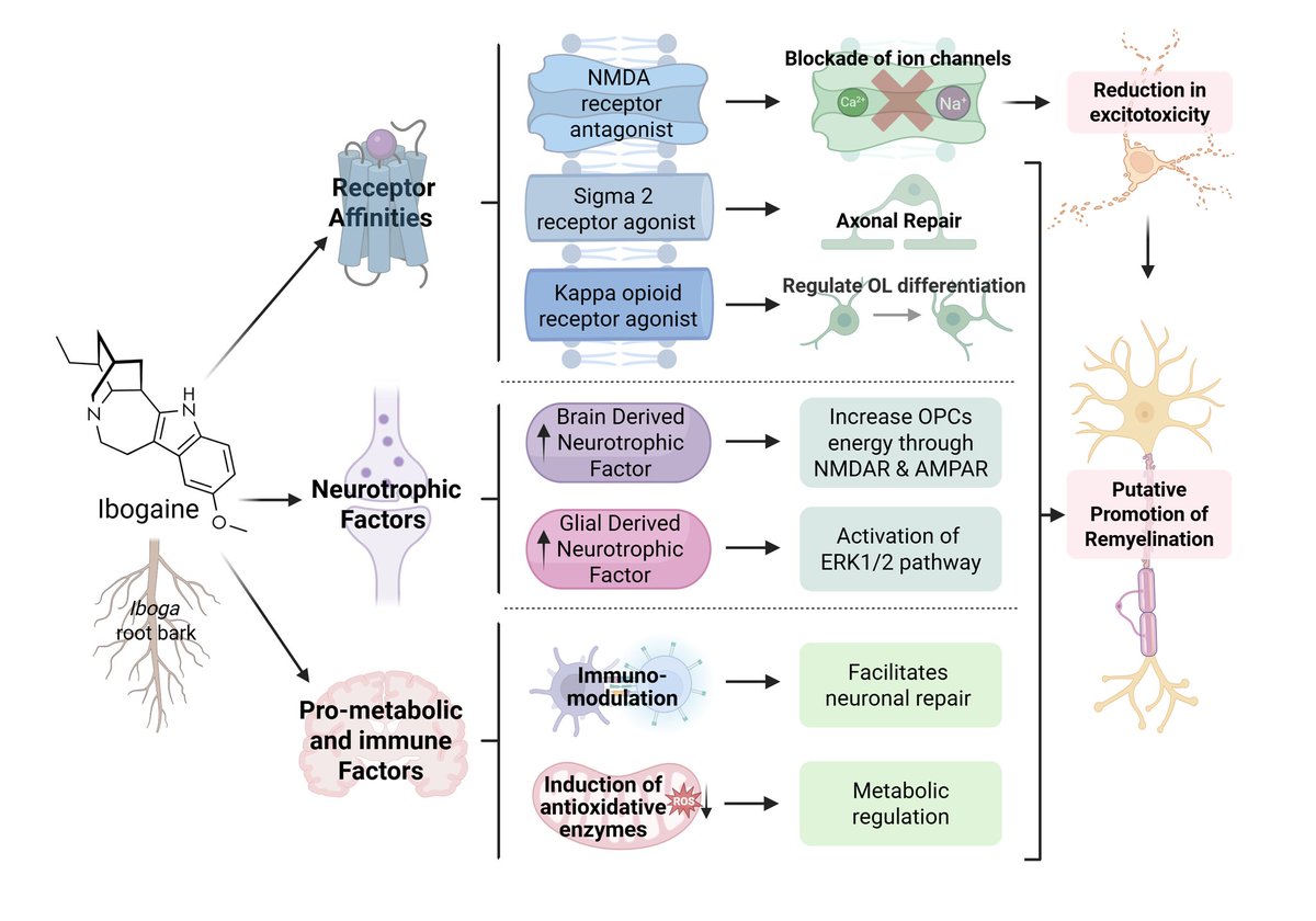 Tanya Calvey tweet media