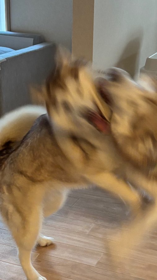 完全にムンクの叫びwwwwww